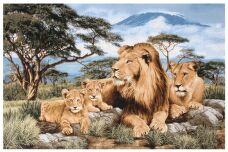 Африканские львы 